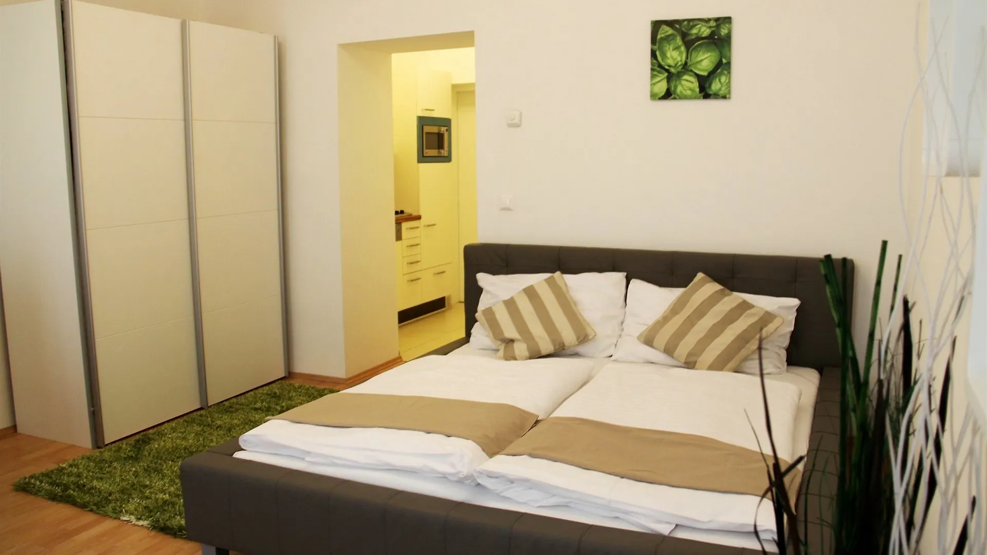 Apartment Haberlgasse Вена